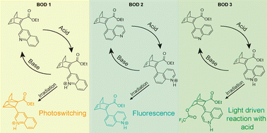 Graphical abstract: Photoswitching behaviour of quinoline-substituted bicyclooctadienes and the role of protonation