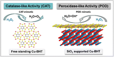 Graphical abstract: From CAT-like to POD-like enzymatic activity of Cu-BHT tuning by substrate engineering