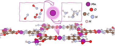 Graphical abstract: Electronic regulation of the first-coordination-shell environments in Mn-based single-atom sites for electrochemical NO reduction: a density functional theory study