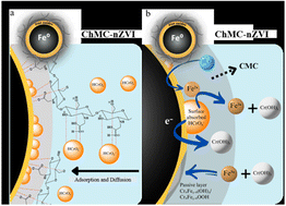 Graphical abstract: Powdered carboxymethyl chitosan–engineered nZVI nanocomposites for rapid and ultrahigh-capacity Cr(vi) removal