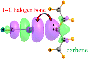 Graphical abstract: Ability of carbenes to act as Lewis bases within a halogen bond