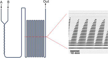Graphical abstract: Flow-enhanced spatiotemporal pH oscillations