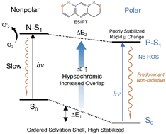Graphical abstract: Synergistic effect of anomalous solvatochromism and fast relaxation on the enhancement of BEMT UV photoprotection performance