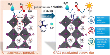 Graphical abstract: Atomistic mechanisms of guanidinium chloride passivation for suppressing ion migration and environmental degradation in MAPbI3 and FAPbI3 perovskites