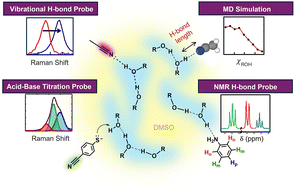 Graphical abstract: Sensing the acidity of hydrogen bond networks