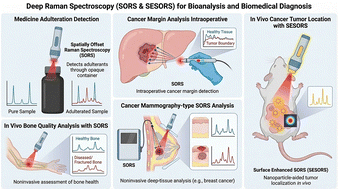 Graphical abstract: SORS and SESORS: deep Raman spectroscopy in biomedical analysis and disease diagnosis