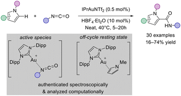 Graphical abstract: Activation of isocyanates with gold: towards Au-catalyzed C–H amidation of pyrroles