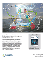 Graphical abstract: Back cover