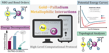 Graphical abstract: On the nature and feasibility of unsupported Au⋯Pd metallophilic interactions: a correlated computational study
