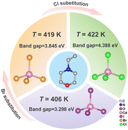 Graphical abstract: Organic–inorganic hybrid materials with high phase transition temperatures regulated by halogen substitution