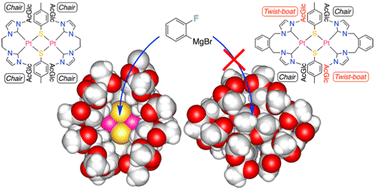 Graphical abstract: Flexible steric bulk of sugar wingtip substituents on bis(N-heterocyclic carbene) ligands of diplatinum complexes via chair–twist-boat conformational changes