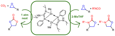 Graphical abstract: Efficient synthesis of cyclic carbonates and oxazolidinones by simple zinc guanidinato complexes