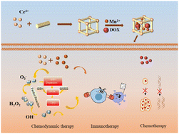 Graphical abstract: A metal–organic framework Ce-BDA for triple-modal cancer therapy: chemodynamic therapy, chemotherapy and immunotherapy