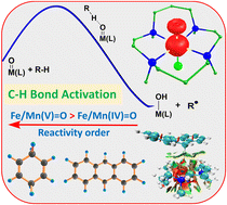 Graphical abstract: Computational insights into the role of oxidation state in C–H activation by high-valent iron and manganese oxo oxidants