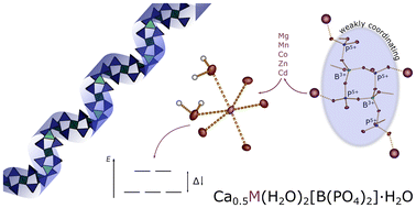 Graphical abstract: Weakly coordinating borophosphates – Ca0.5M(H2O)2[B(PO4)2]·H2O (M = Mg, Mn, Co, Zn, Cd)