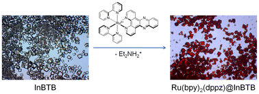 Graphical abstract: [Ru(bpy)2(dppz)]2+ encapsulated isostructural In-MOFs: a comparative study of their photoluminescence and photoredox catalytic activities