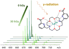 Graphical abstract: Effect of lanthanide(iii) complexation on the radiolytic stability of Macropa