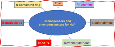 Graphical abstract: Recent advances in the development of optical chemosensors and chemodosimeters for the recognition of Hg2+