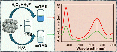 Graphical abstract: Synthesis of silver nanoparticles and their attachment to a zinc oxide–iron oxide hybrid structure: analyte-mediated enhanced peroxidase-like activity for colorimetric detection