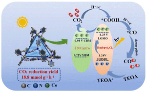 Graphical abstract: Modulating central metal ions in metal–organic cages for enhanced CO2 photoreduction