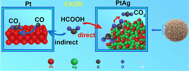 Graphical abstract: Synergizing Ag alloying and urchin-like structure to steer formic acid oxidation toward the direct pathway on Pt nanocrystals in acidic medium