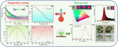 Graphical abstract: Optical properties of a dual-use phosphor Sr3La2W2O12:Mn4+ for optical thermometry and plant growth lighting