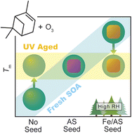 Graphical abstract: Pre-existing particle composition controls the initial viscosity and aging of α-pinene-derived secondary organic aerosol