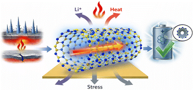 Graphical abstract: Boron nitride nanotubes for next-generation battery systems