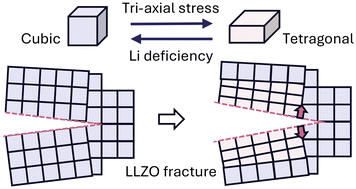 Graphical abstract: Phase instability-coupled fracture behavior in garnet LLZO solid electrolytes: a machine learning-enabled atomistic study