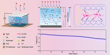 Graphical abstract: Synergistic boosting of electrical output of moisture-electric generator based on CCNF-LiCl-PAM hydrogel