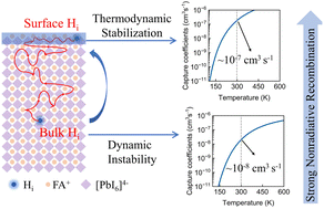 Graphical abstract: Hydrogen migration, surface accumulation, and nonradiative recombination in perovskite solar cells