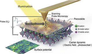 Graphical abstract: Probing surfaces and interfaces of halide perovskites: from atomic mapping to optoelectronic properties
