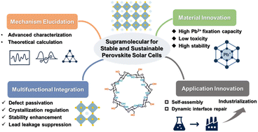 Graphical abstract: Supramolecular engineering-empowered safe, efficient, and stable perovskite solar cells