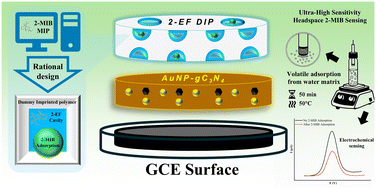 Graphical abstract: Rational design of a dummy-imprinted nanoplatform for ultrasensitive and leakage-free headspace-electrochemical detection of 2-MIB