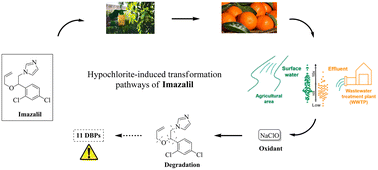 Graphical abstract: Sodium hypochlorite oxidation of imazalil: mechanistic insights and byproduct profiling