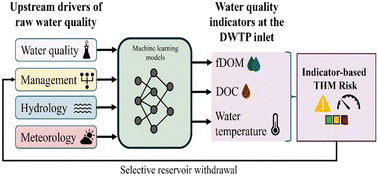Graphical abstract: Integrating catchment, climate and reservoir drivers to estimate the risk of THM formation at a drinking water treatment plant inlet