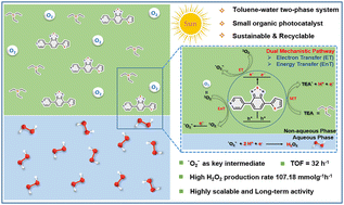Graphical abstract: Natural-sunlight-harvesting benzothiadiazole-based molecular photocatalyst for H2O2 production: a recyclable homogeneous biphasic system