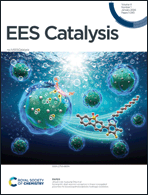 Graphical abstract: Front cover