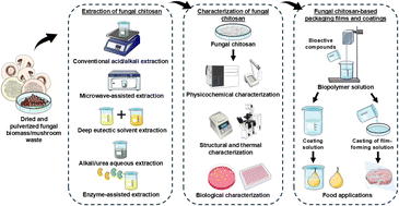 Graphical abstract: A review of fungal chitosan for bioactive and biodegradable food packaging: green extraction, properties, structure–function relationships, and applications