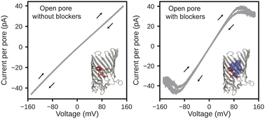 Graphical abstract: Inducing nonlinear conductance and emergent memristance in open pores using blockers