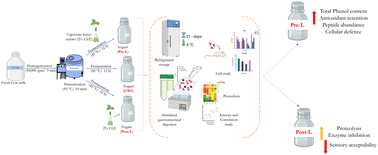 Graphical abstract: Effect of Capsicum annuum leaf extract addition timing on yogurt bioactivity, digestibility, and cellular antioxidant defence