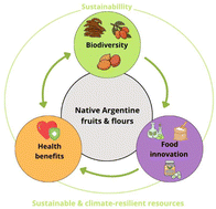 Graphical abstract: Ancient and native fruits from Northwestern Argentina and their derived flours as next generation functional foods