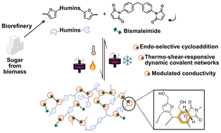 Graphical abstract: Synthesis of thermo-shear-responsive dynamic covalent networks based on humins and the Diels–Alder reaction