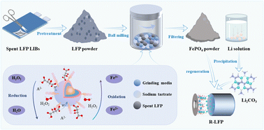 Graphical abstract: Mechanical force-induced proton transfer promotes the selective extraction of spent lithium iron phosphate