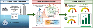 Graphical abstract: Enhancing multi-enzymatic CO2 conversion via reactor engineering: effects of mass transfer on sustainable and green metrics