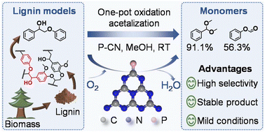Graphical abstract: One-pot oxidation–acetalization strategy for photocatalytic cleavage of C–C bonds in lignin model compounds over phosphorus-doped carbon nitride