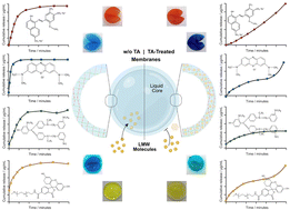 Graphical abstract: Controlled release of chemically diverse small molecules from liquid-core capsules assembled under fully aqueous conditions