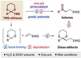 Graphical abstract: Overcoming protic-solvent limitations in dithiane chemistry: photocatalyzed Giese addition and one-pot ketone synthesis