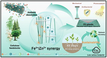 Graphical abstract: Sustainable multifunctional bioplastics enabled by ion-engineered rapid dissolution of cellulose at room temperature