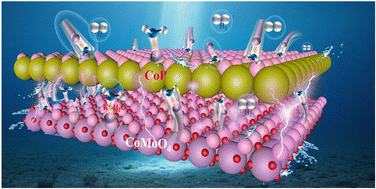 Graphical abstract: Regulating interfacial proton transfer via Mo-induced hydrated K+-H2O networks in CoP@CoMoO4 heterojunction for enhanced alkaline hydrogen evolution